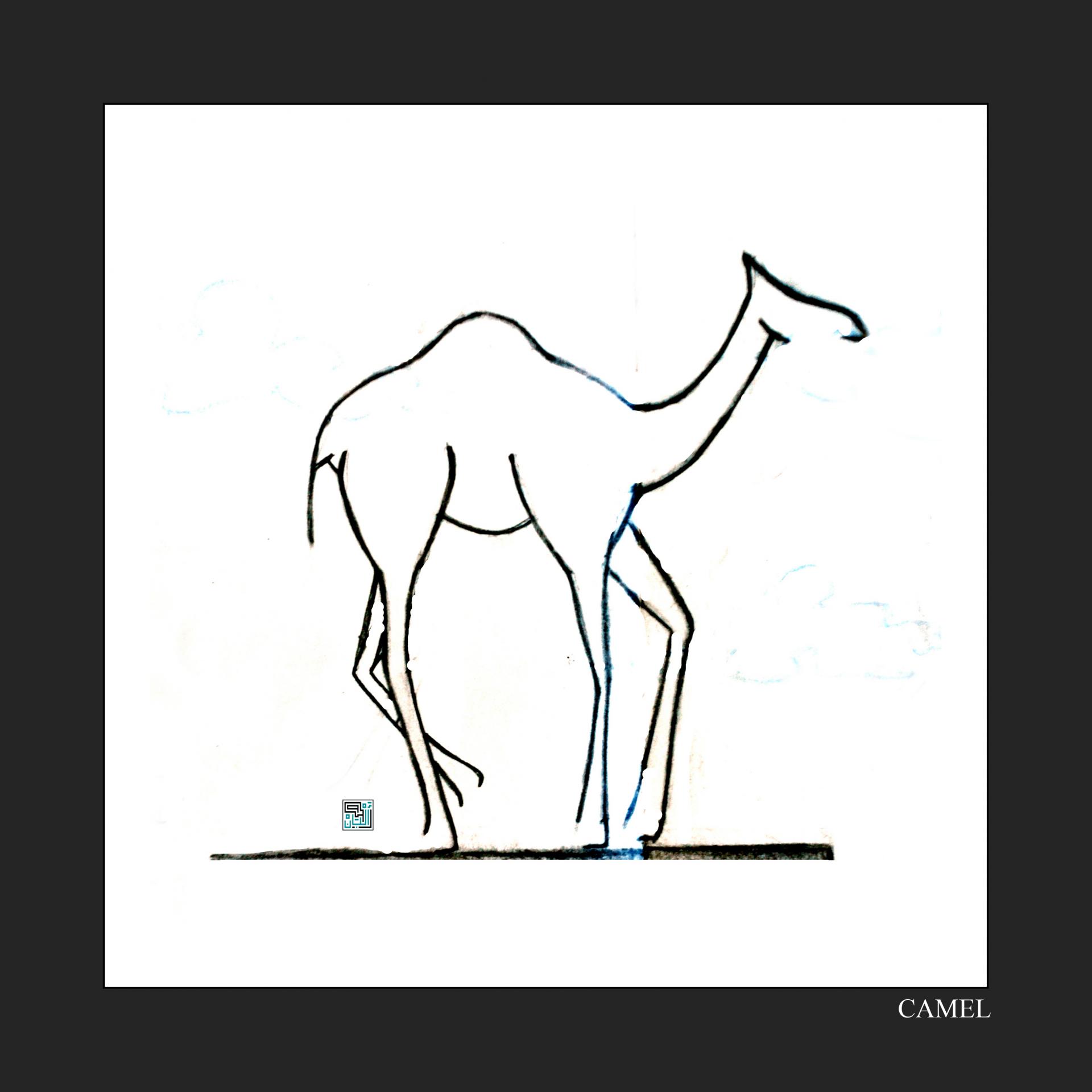 Camel