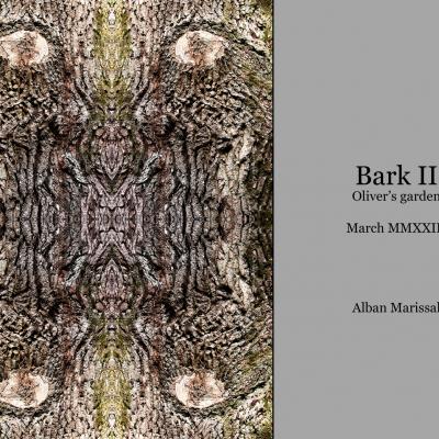 Bark 2 