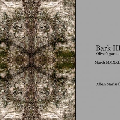 Bark 3 