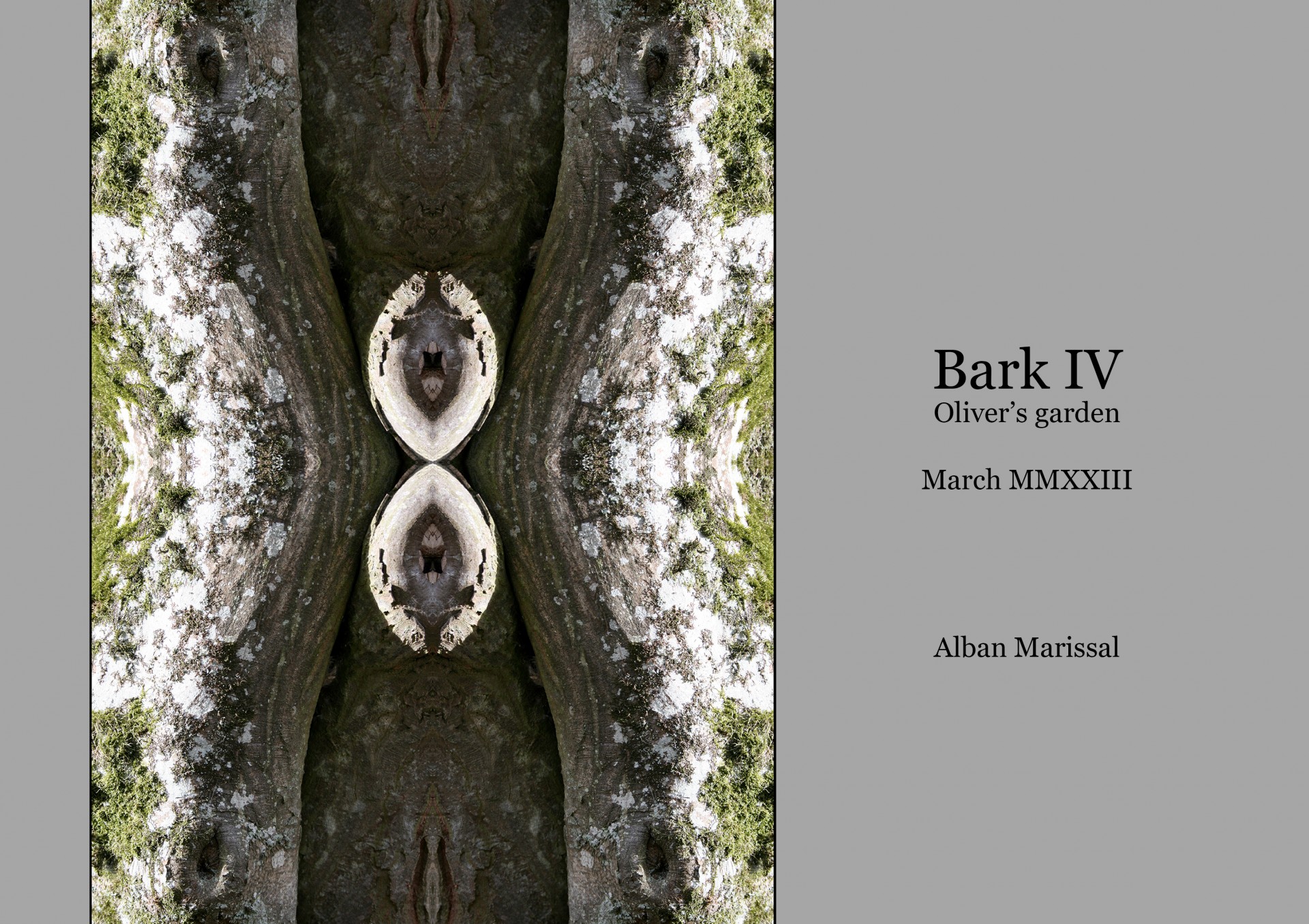 Bark 4 