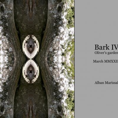 Bark 4 