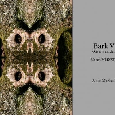 Bark 5 