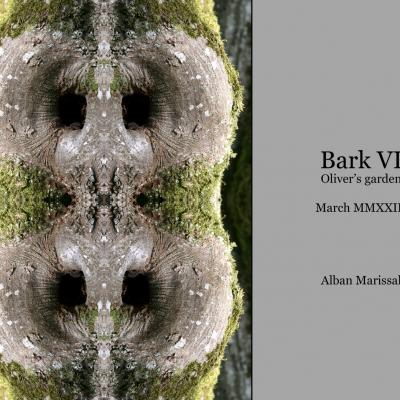 Bark 6 