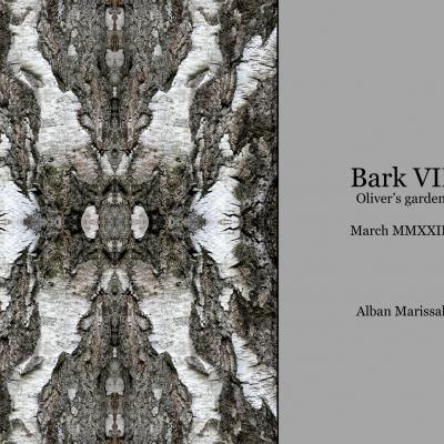 Bark 7 