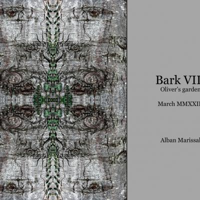 Bark 8 