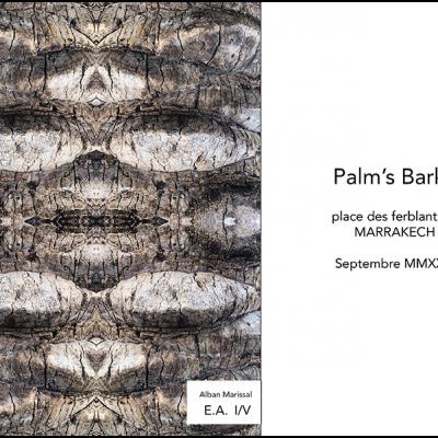 Palm 1 place ferblantiers