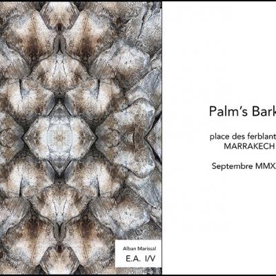 Palm 2 