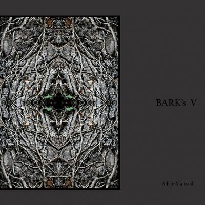 barks V