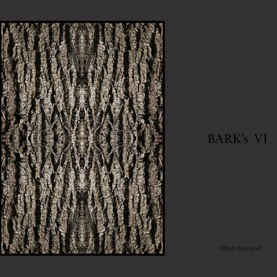 barks VI