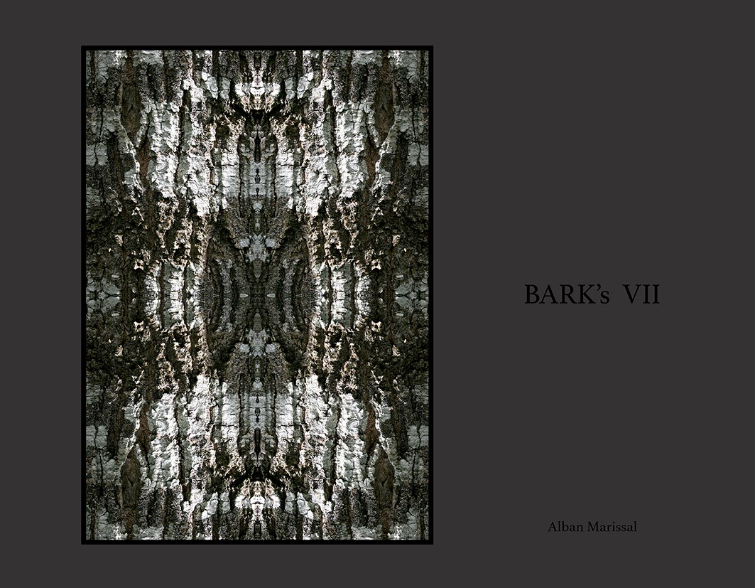 barks VII