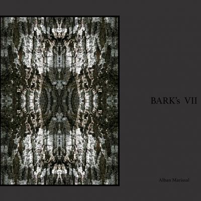 barks VII