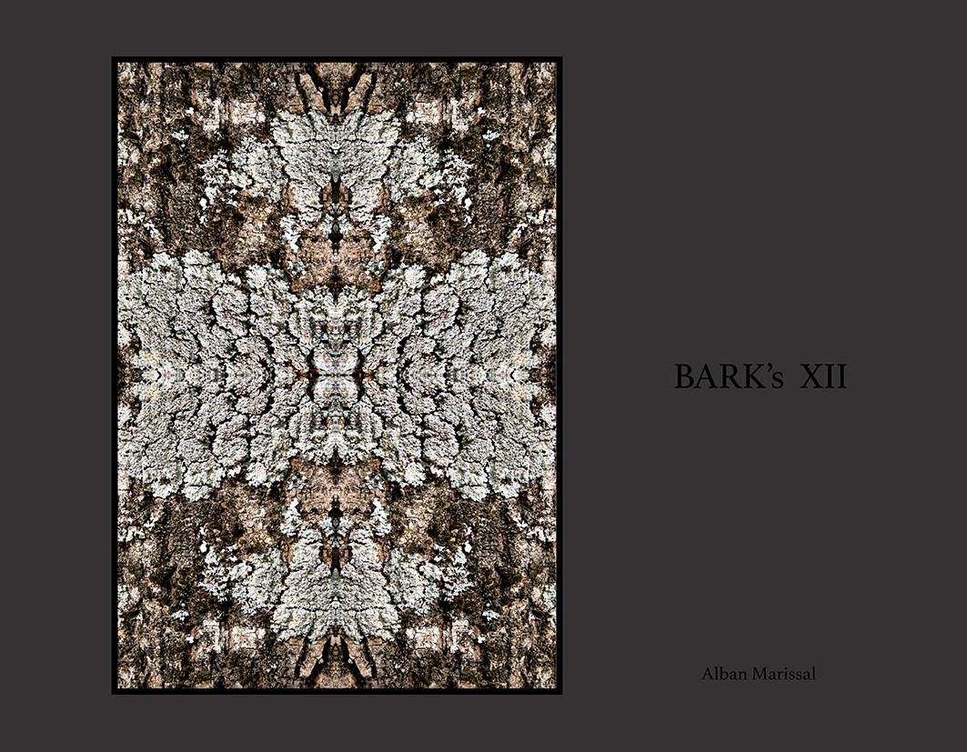 barks XII